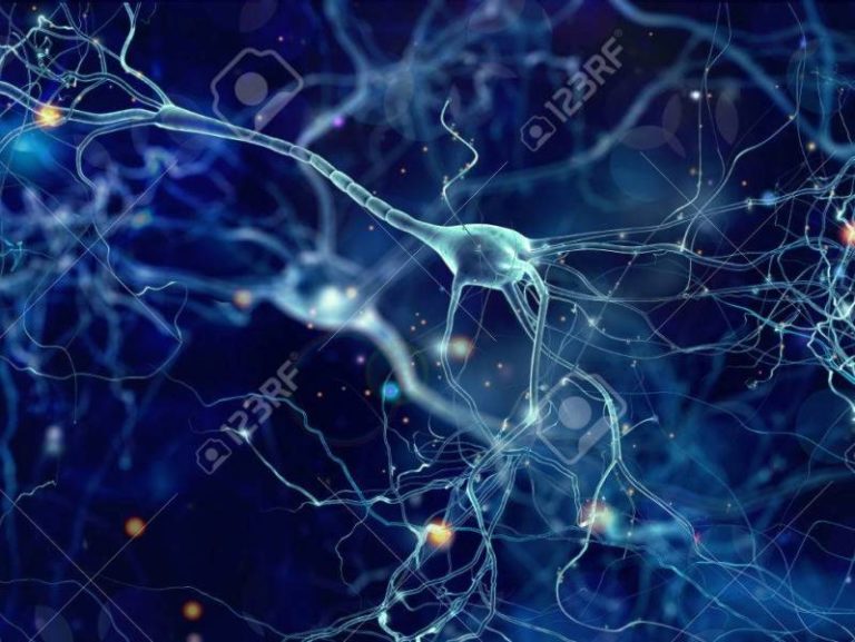 Il Potenziale di Equilibrio