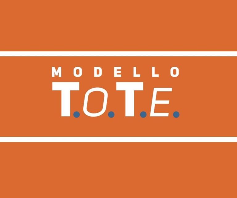 Il Modello T.O.T.E.
