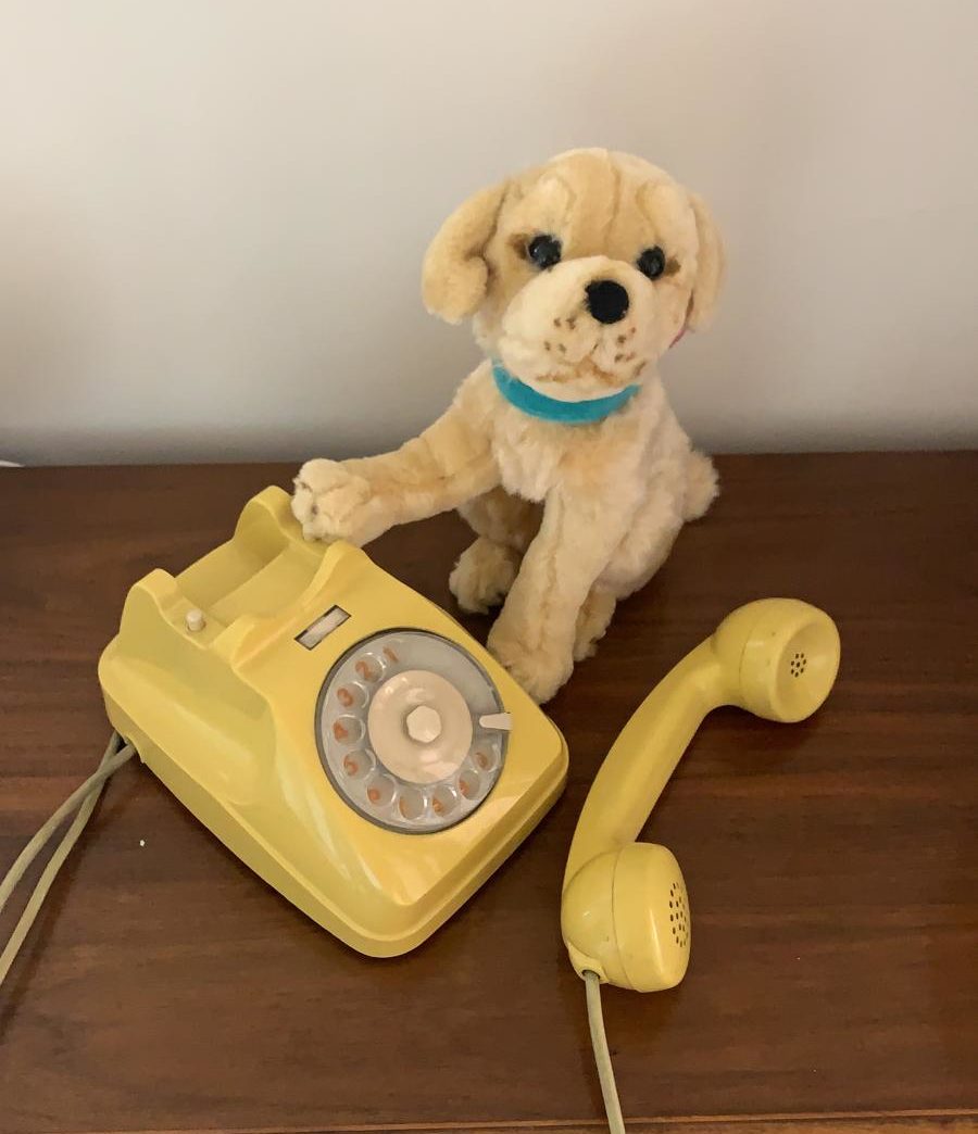 il-bon-ton-delle-video-conferenze-e-delle-live-sui-social