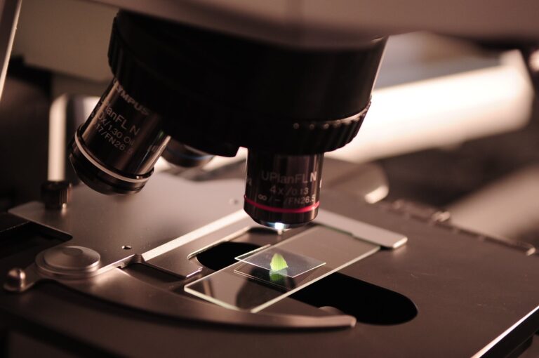 Genetica vs Epigenetica