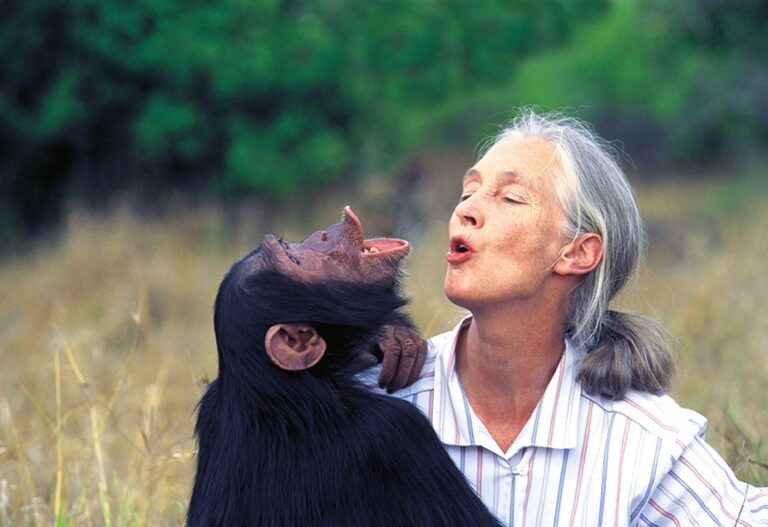 Jane Goodall: dall’etologia, all’antropologia, ai diritti planetari