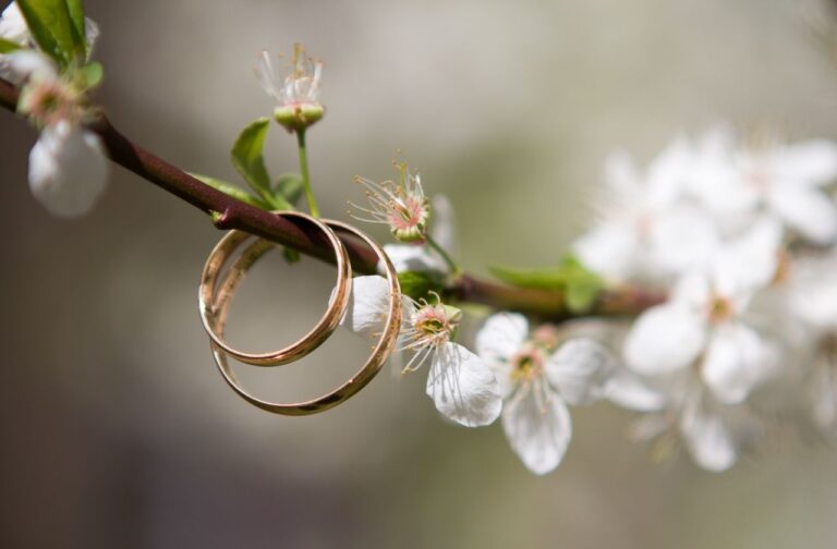 Matrimoni & Decisioni