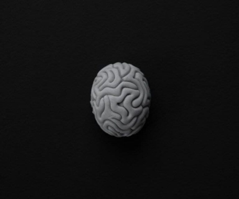 Come funziona il cervello adolescenziale
