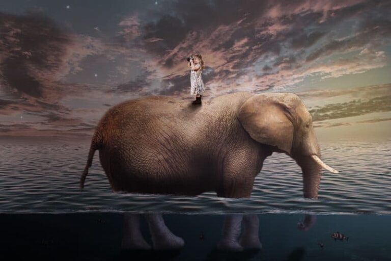 Psicologia: la Scienza dell’Anima