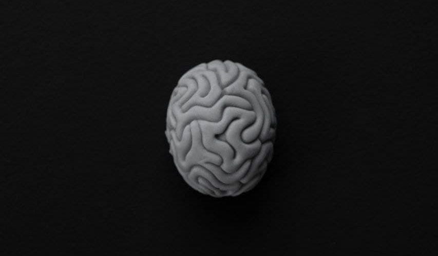 pexels-ekaterina-bolovtsova-6192331